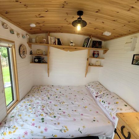The Shepherds Hut At Forestview Farm Greenisland Ngoại thất bức ảnh