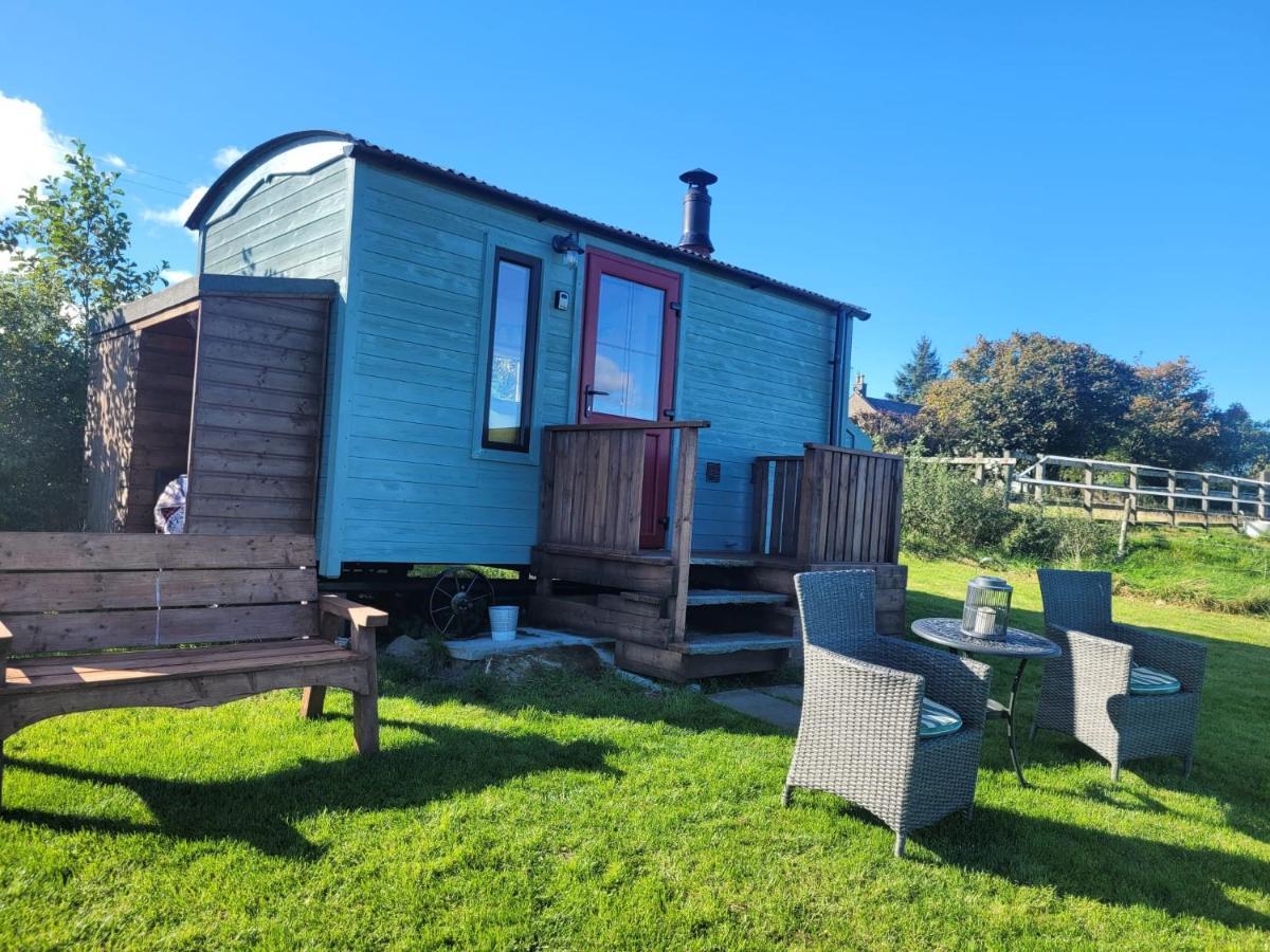 The Shepherds Hut At Forestview Farm Greenisland Ngoại thất bức ảnh