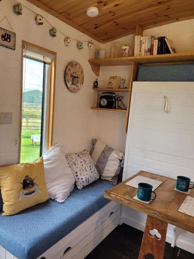 The Shepherds Hut At Forestview Farm Greenisland Ngoại thất bức ảnh