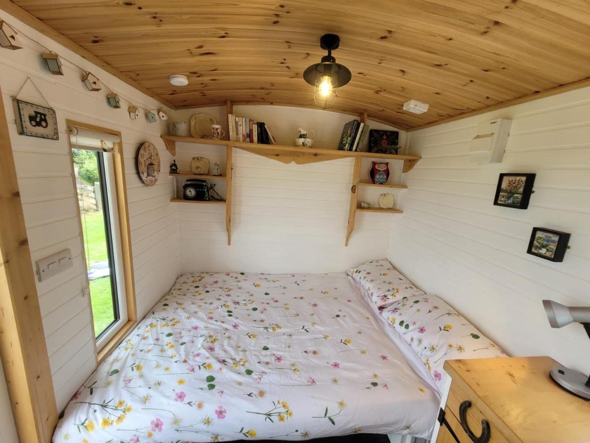 The Shepherds Hut At Forestview Farm Greenisland Ngoại thất bức ảnh